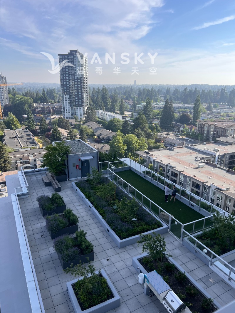 241208174203_Photo 8.JPG